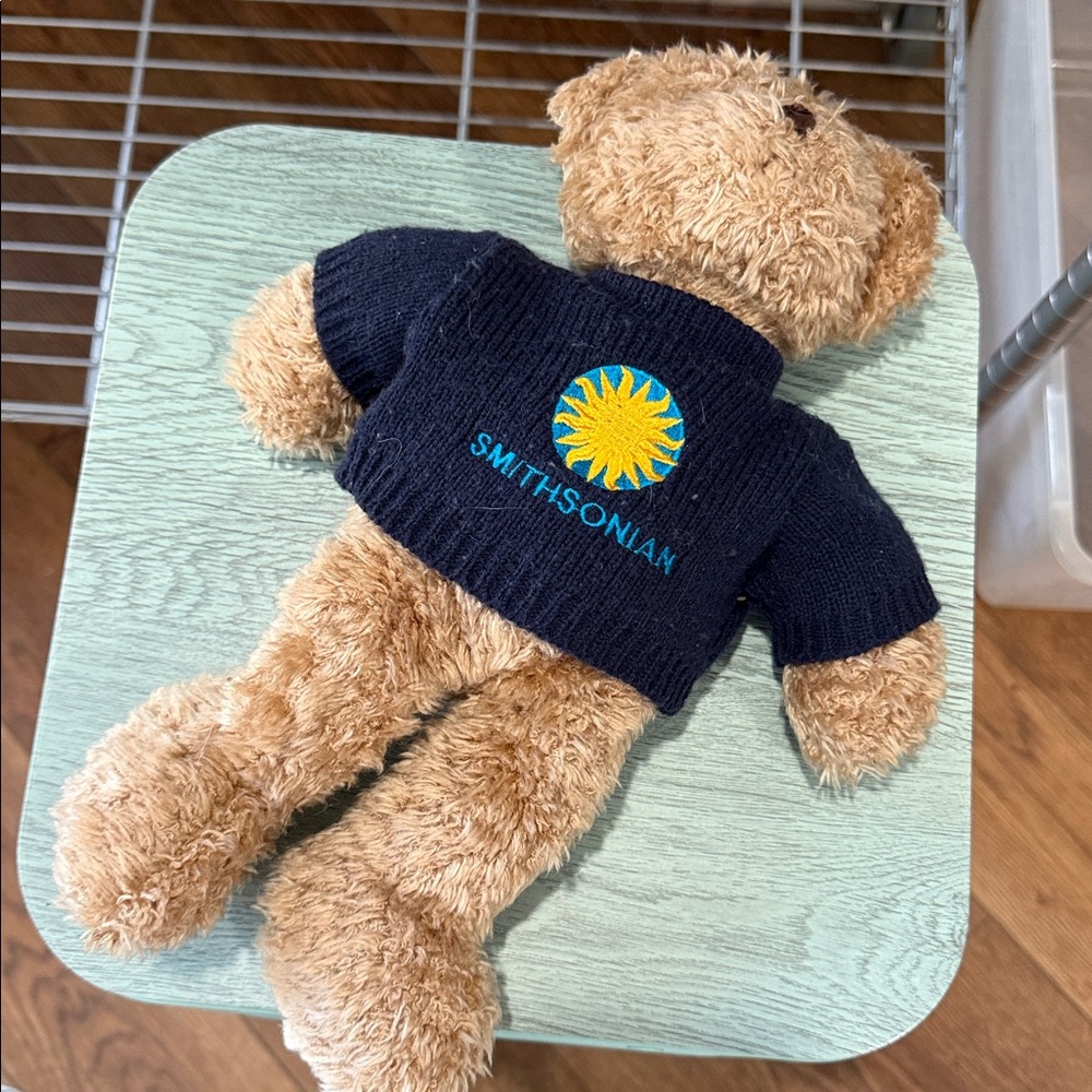 Smithsonian Museum Teddy Bear NWOT